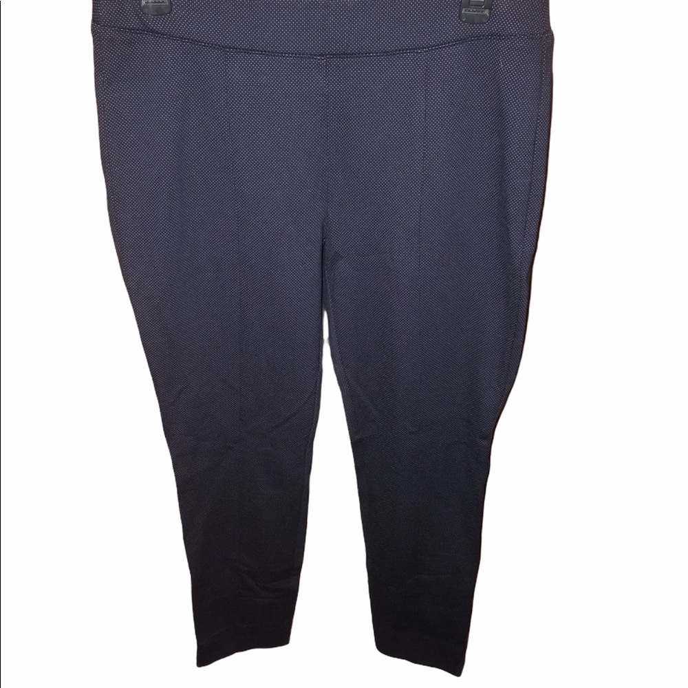 The Limited Women’s Dress Stretch Pants